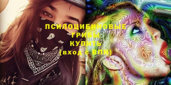 ПСИЛОЦИБИНОВЫЕ ГРИБЫ Аркадак